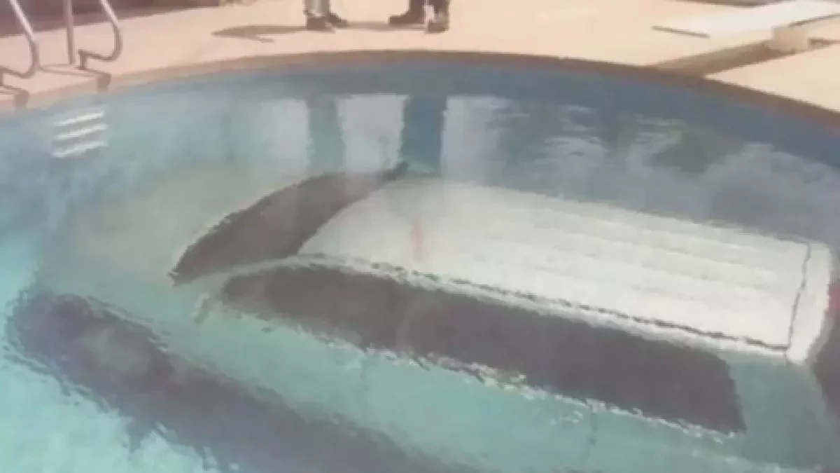 Conheça os signos do zodíaco que atraem o azar - imagem 7793