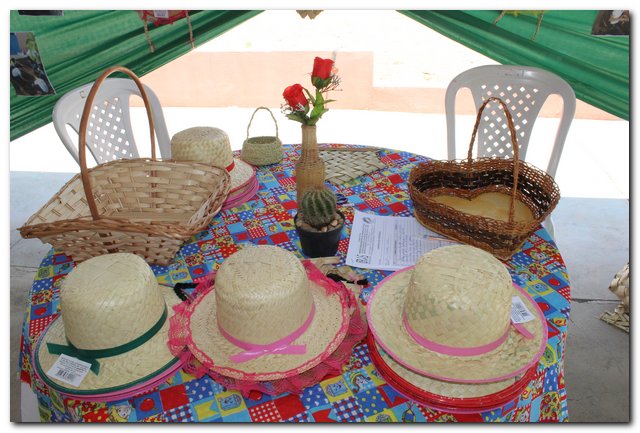 Ipiranga do Piauí sedia V Feira Territorial do Vale do Sambito - Imagem 64