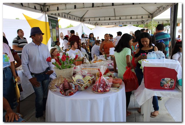 Ipiranga do Piauí sedia V Feira Territorial do Vale do Sambito - Imagem 43