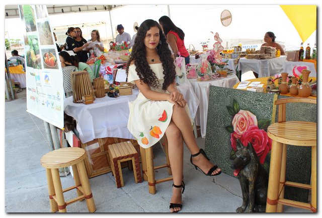 Ipiranga do Piauí sedia V Feira Territorial do Vale do Sambito - Imagem 46