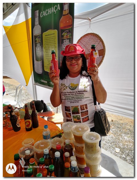 Ipiranga do Piauí sedia V Feira Territorial do Vale do Sambito - Imagem 32