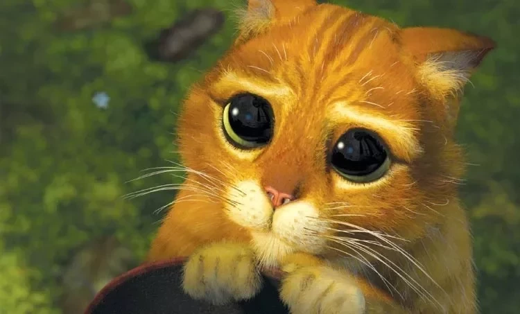 Confira os signos do zodíaco que sempre se fazem de vítima - imagem 8099