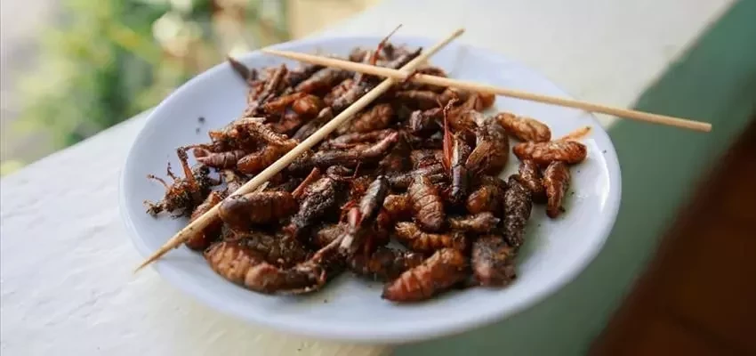 Veja a comida preferida de cada signo do zodíaco. Combina com você? - imagem 8111