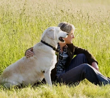 Veja filmes compatível com 7 signos do zodíaco