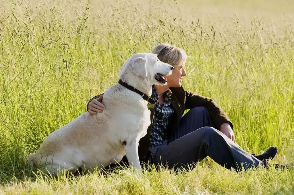 Veja filmes compatível com 7 signos do zodíaco - imagem 6960