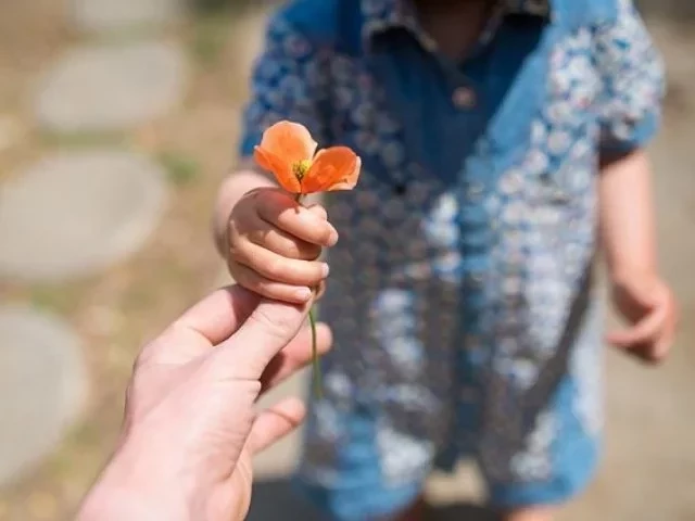Saiba quais os traços de personalidade que os signos escondem  - imagem 8382