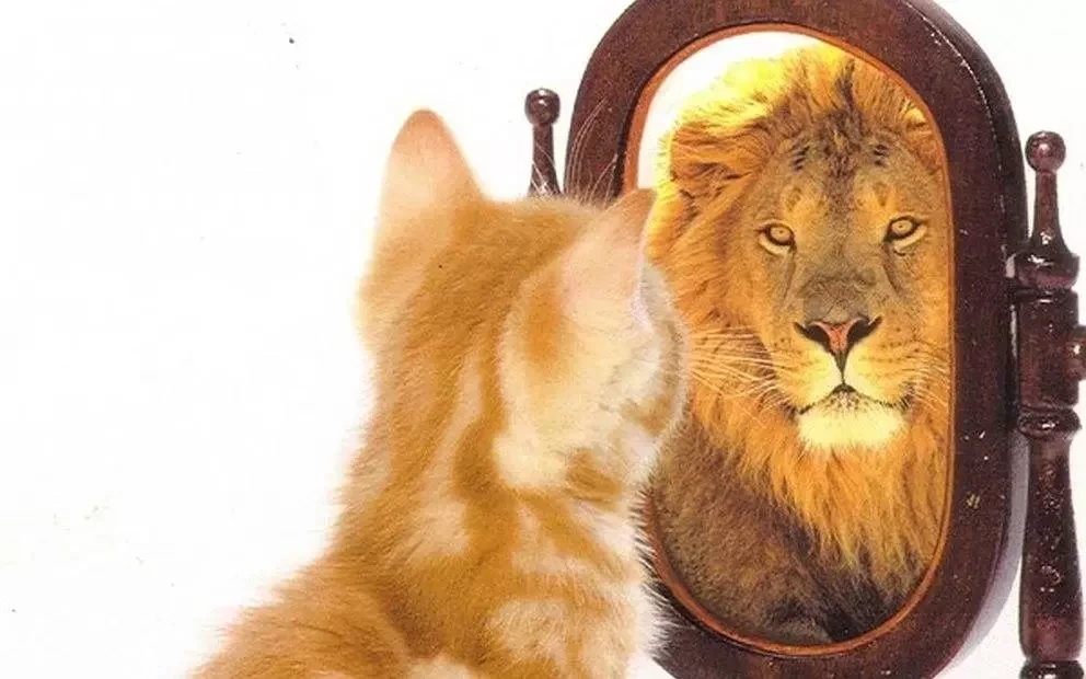 Saiba como você pode melhorar a autoestima de acordo com o seu signo  - imagem 8363