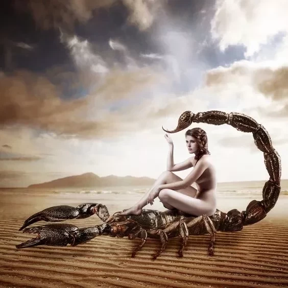 Horóscopo de Escorpião: Tudo sobre o signo da intuição e empatia - imagem 8435