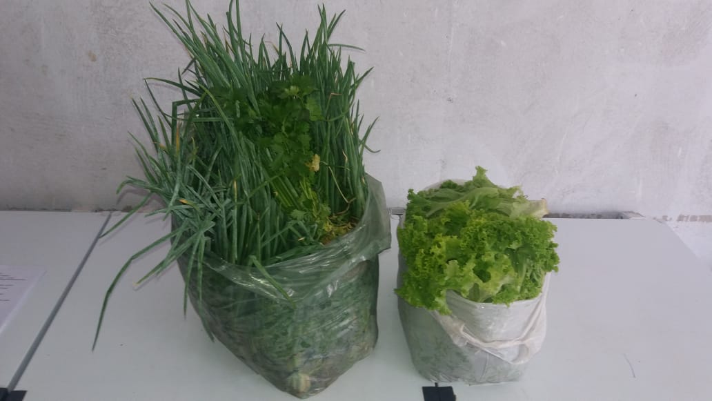 *Prefeitura de Pedro II garante merenda de qualidade a mais de 7 mil estudantes da rede municipal  - Imagem 7