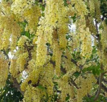 Prefeito João Luiz participa da III festa do Vaqueiro  - Imagem 11