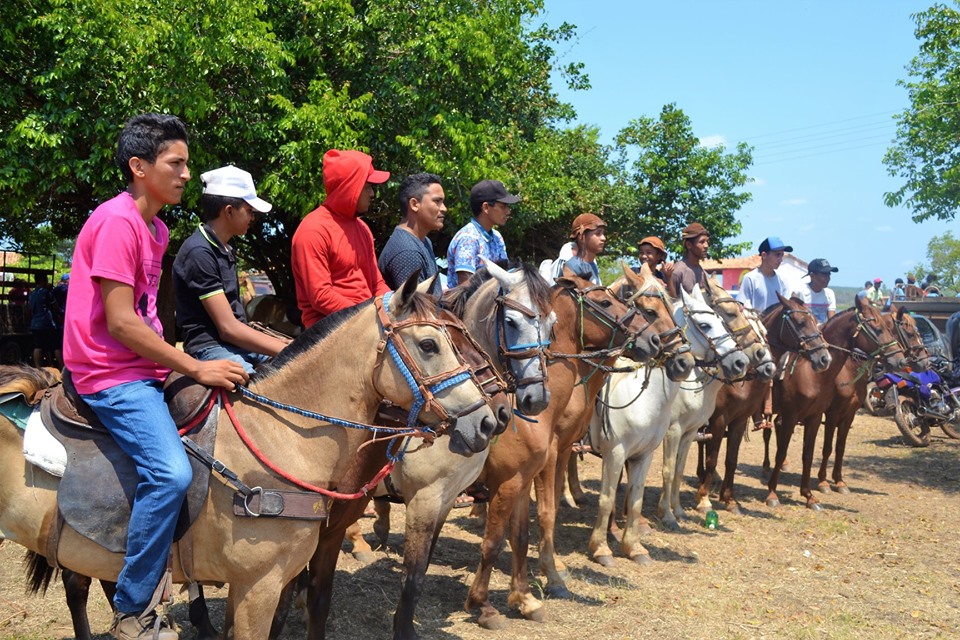 Prefeitura de Joaquim Pires promove a I Festa dos Vaqueiros - Imagem 21