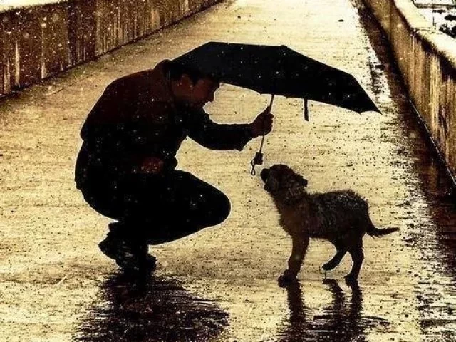 Descubra o maior defeito do seu signo para conseguir evoluir  - imagem 8803