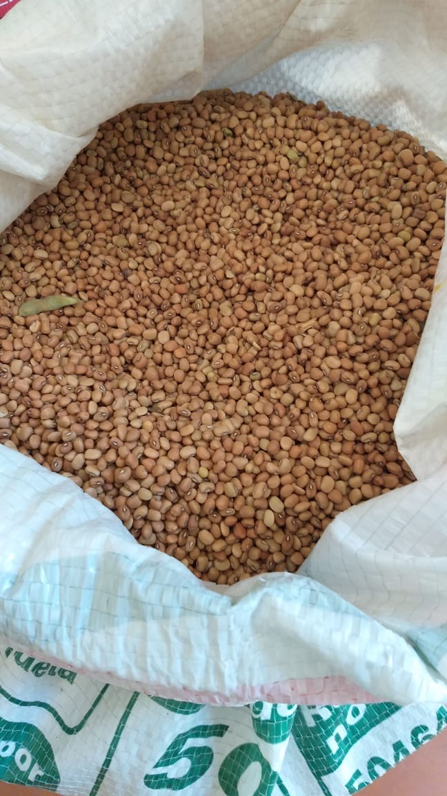 Semec de Uruçuí incrementa a merenda escolar com produtos da agricultura familiar.  - Imagem 3