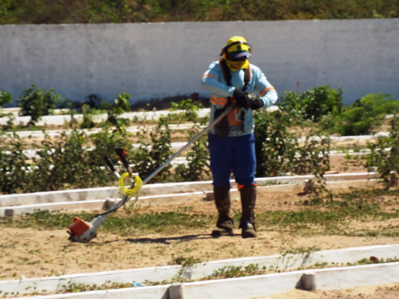 Município prepara cemitérios para a chegada do dia de finados  - Imagem 35