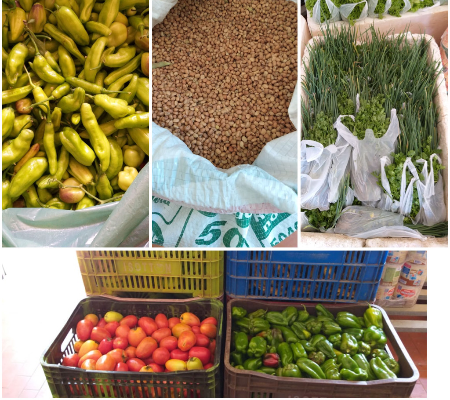 Semec de Uruçuí incrementa a merenda escolar com produtos da agricultura familiar. 
