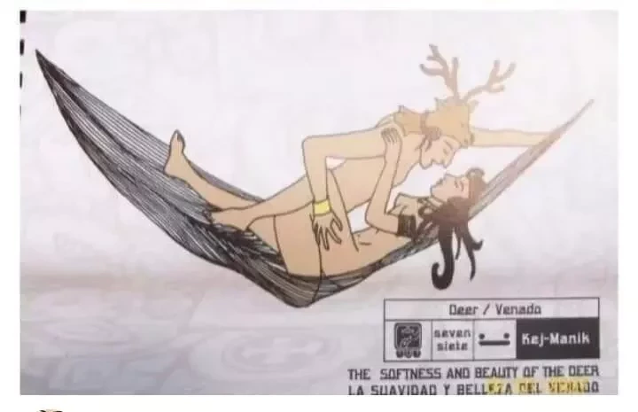 Sexo na Rede? Aprenda 9 posições sexuais para inovar na hora H - imagem 8954