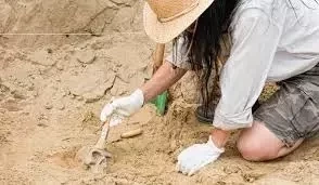 Descubra qual é a profissão ideal para você de acordo com o seu signo - imagem 7070