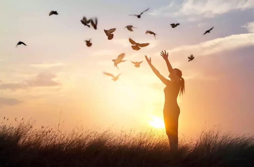 Os signos do zodíaco que terão paz no mês de Outubro - imagem 7003