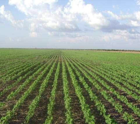 Secretaria de Agricultura faz parceria com o INCRA e tem papel importante na regularização fundiária