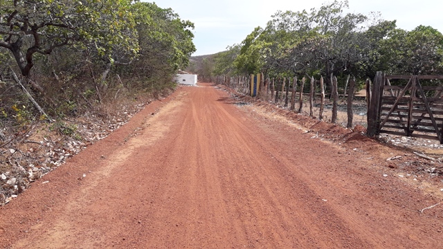 Prefeitura de Dom Expedito Lopes intensifica limpeza nos cemitérios - Imagem 13