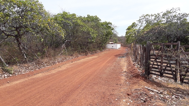 Prefeitura de Dom Expedito Lopes intensifica limpeza nos cemitérios - Imagem 14