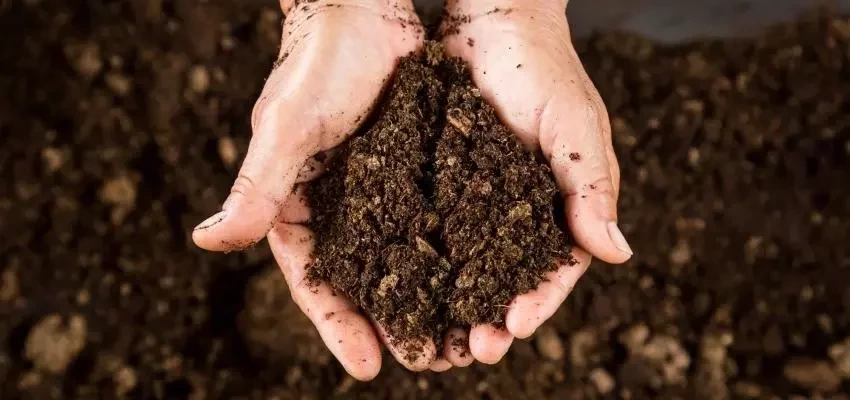  Saiba porque você não deve voltar com o ex de cada signo - imagem 10071