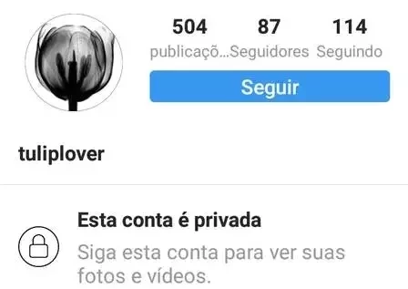 Saiba quais os famosos que têm contas "secretas" no Instagram  - imagem 11025