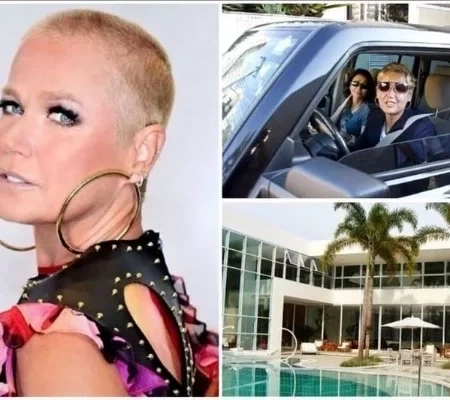 Conheça as maiores e mais caras mansões das celebridades