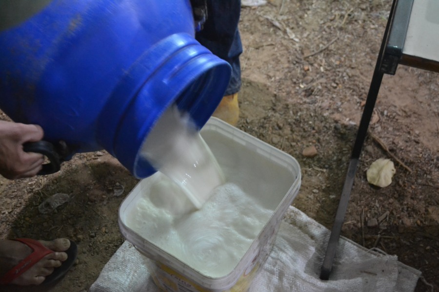 Segunda etapa do Concurso Leiteiro foi concluída em São José do Divino - Imagem 11