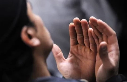 Sucesso: Veja 3 Salmos para iluminar o trabalho e a carreira em 2020 - imagem 9534