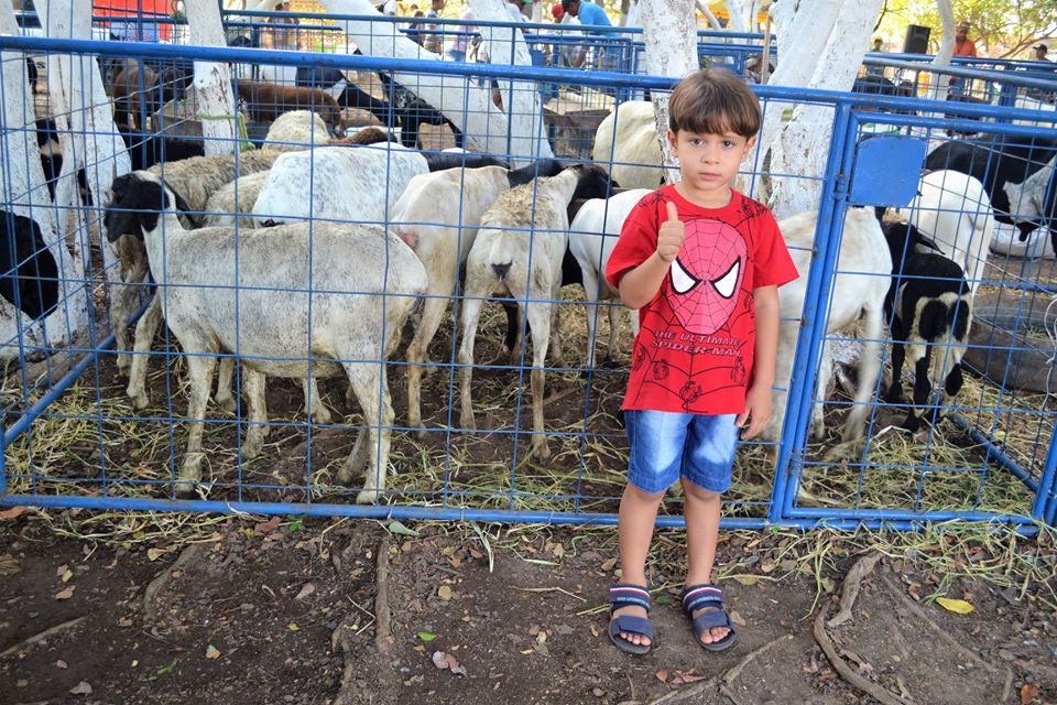 Prefeito Genival Bezerra faz abertura oficial da XII Expofeira de Caprinos e Ovinos - Imagem 28