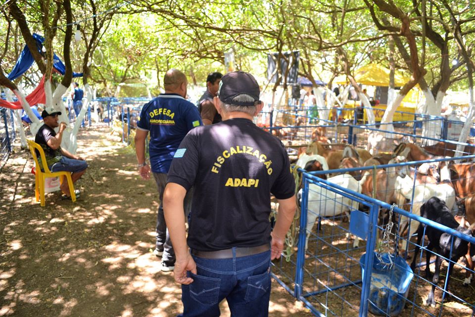 Prefeito Genival Bezerra faz abertura oficial da XII Expofeira de Caprinos e Ovinos - Imagem 9