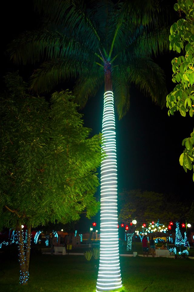 Decoração Natalina da Praça 28 de Dezembro de Joaquim Pires - Imagem 12