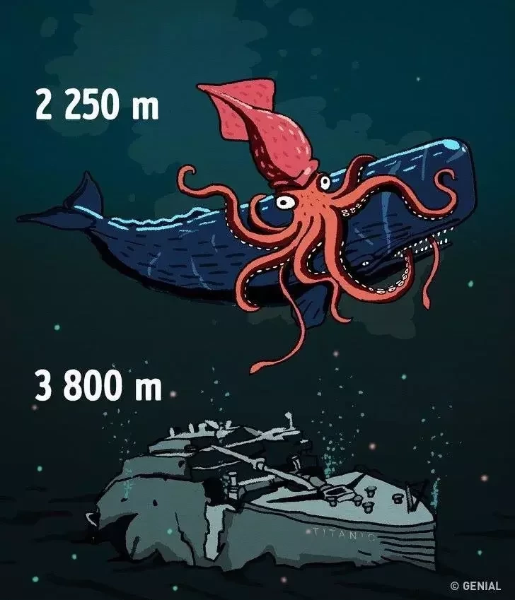 Tudo o que você deve saber sobre a profundidade dos oceanos - imagem 11692