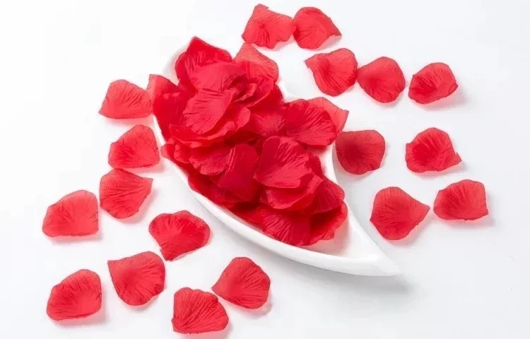 Vem 2020! Veja simpatias de cada signo para um ano novo melhor - imagem 13019