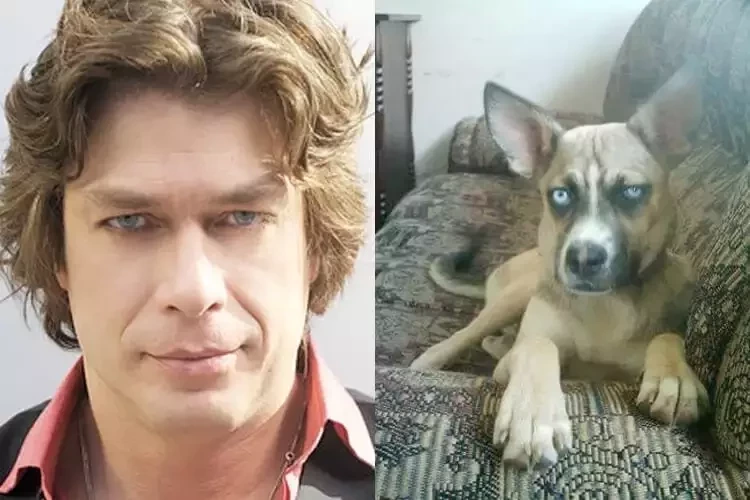 O que você acha? Veja 10 cachorros que se parecem com famosos - imagem 11822