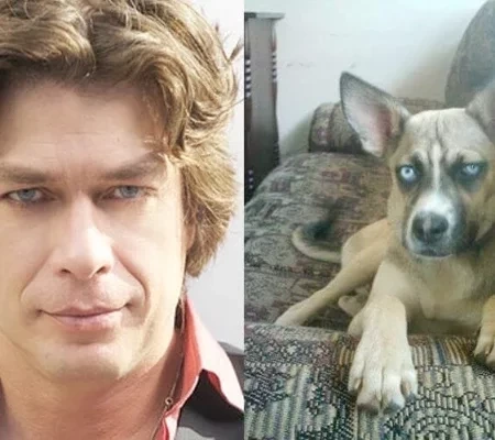 O que você acha? Veja 10 cachorros que se parecem com famosos