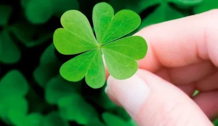 Descubra os três signos do zodíaco mais sortudos em 2020 - imagem 13070