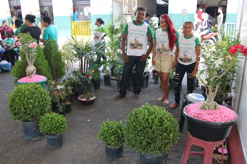 Água Branca movimenta economia regional em Feira da Agricultura Familiar do Território Entre Rios - Imagem 4