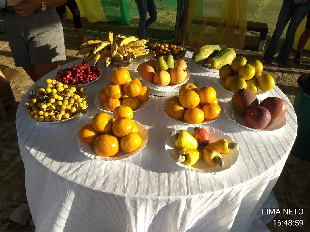 Ações integradas das Secretarias de Saúde e Desenvolvimento Rural marcam o 5° dia de comemorações  - Imagem 9
