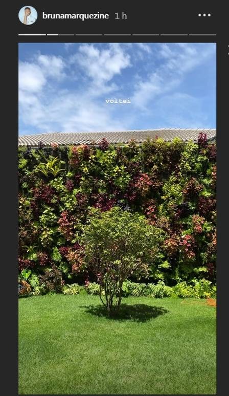 Bruna Marquezine mostra o jardim de sua casa