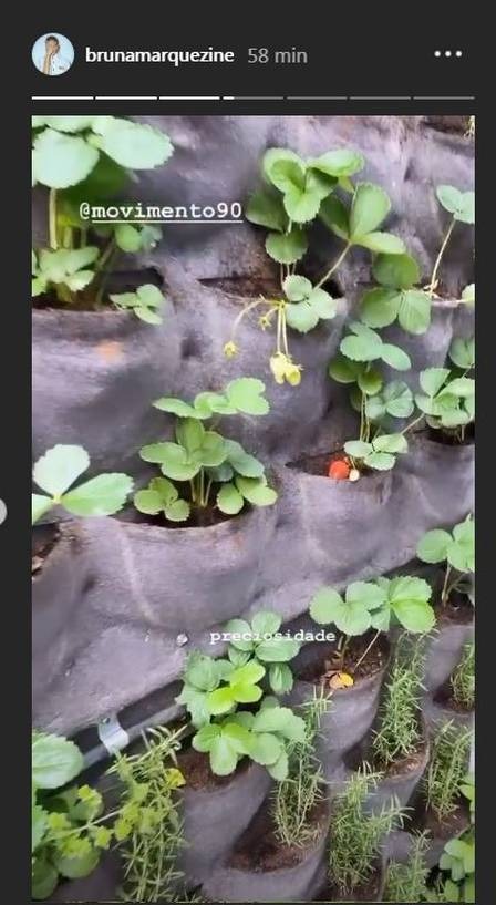 Bruna Marquezine mostra o jardim de sua casa