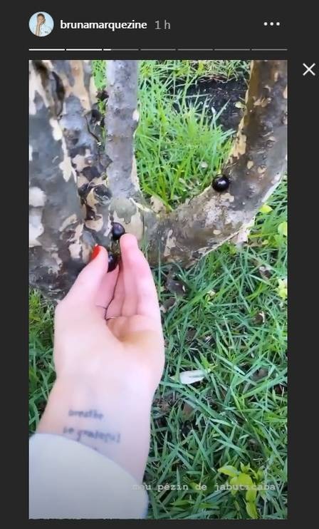 Bruna Marquezine mostra o jardim de sua casa