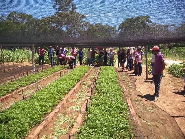A Cáritas Piauí realiza visita de campo na comunidade  'Sitiozinho' 
