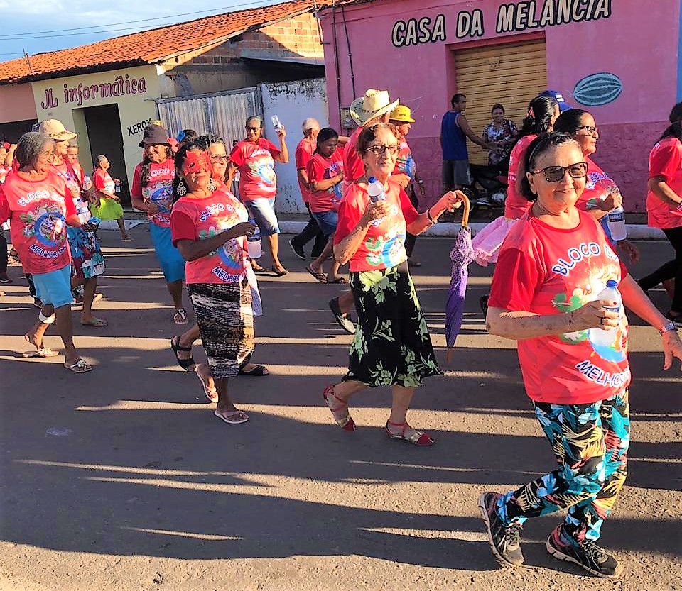 SMAS e CRAS de Joaquim Pires realizam carnaval com idosos do SCFV - Imagem 2