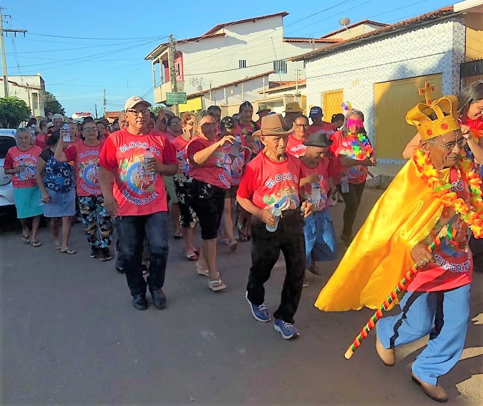 SMAS e CRAS de Joaquim Pires realizam carnaval com idosos do SCFV - Imagem 4