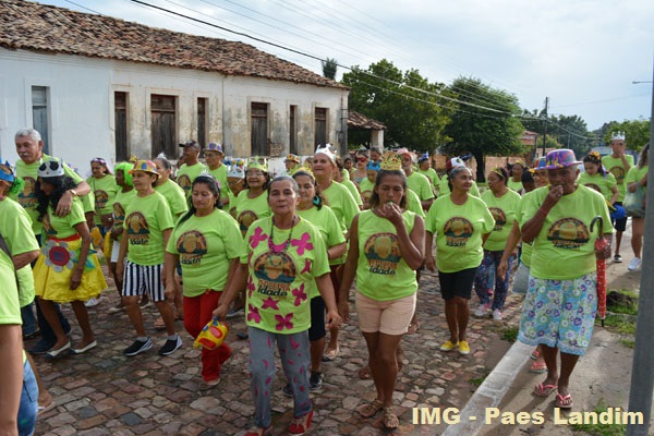 Bloco da 3ª Idade animou sábado de carnaval em N. S. dos Remédios - Imagem 4