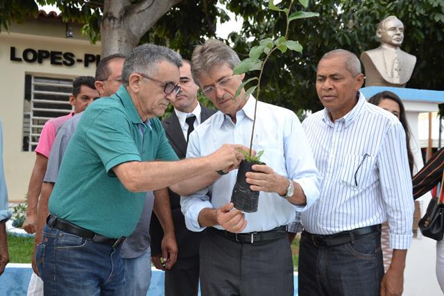 No aniversario da cidade prefeitura implanta programa “Piauí Mais Verde” em Dom Expedito Lopes. - Imagem 7