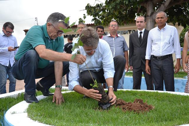 No aniversario da cidade prefeitura implanta programa “Piauí Mais Verde” em Dom Expedito Lopes. - Imagem 9