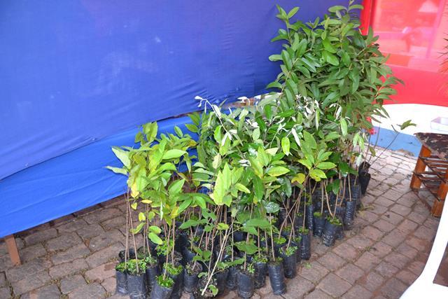 No aniversario da cidade prefeitura implanta programa “Piauí Mais Verde” em Dom Expedito Lopes. - Imagem 6